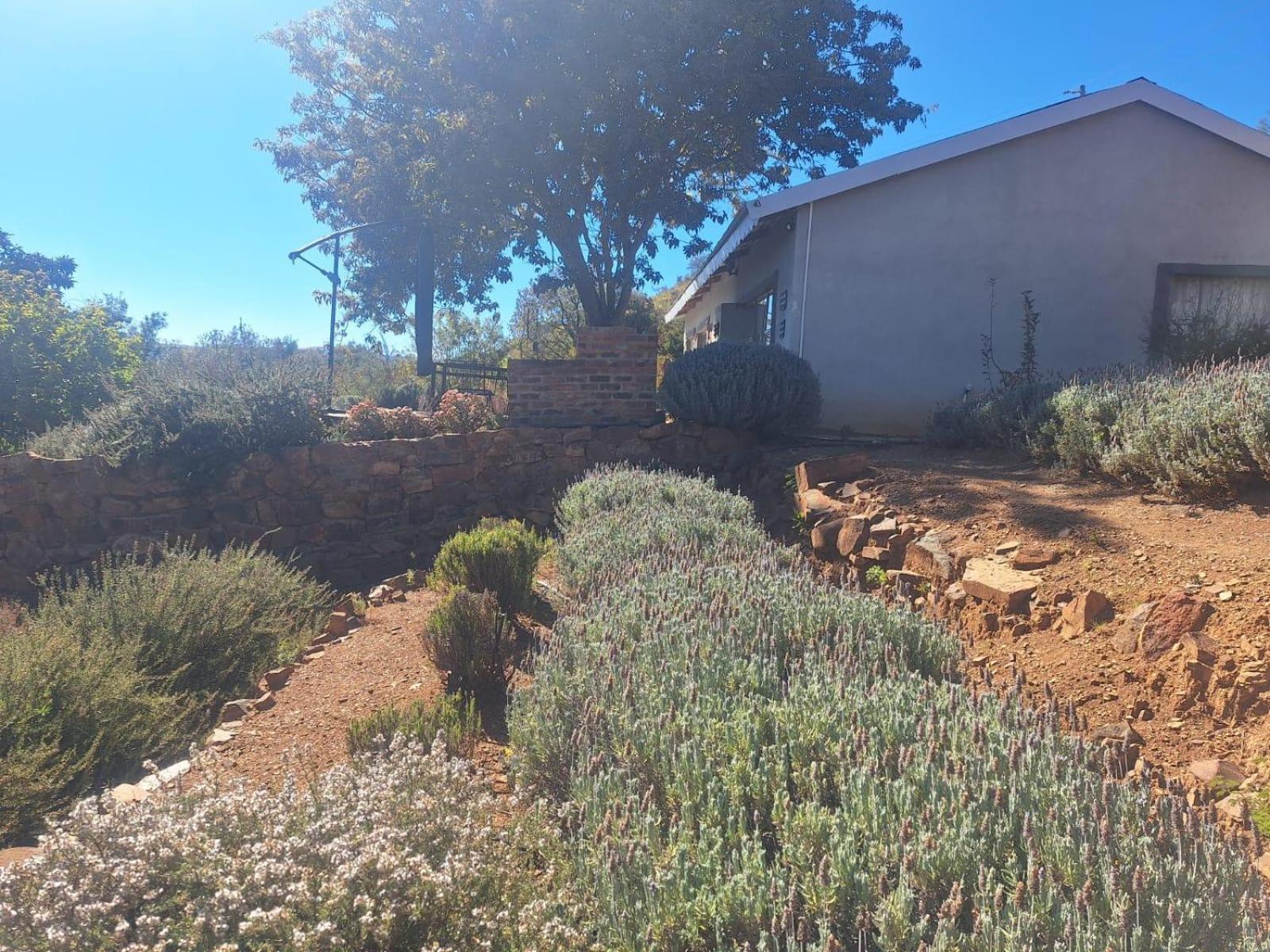 Riverbed Africa Lydenburg Room photo
