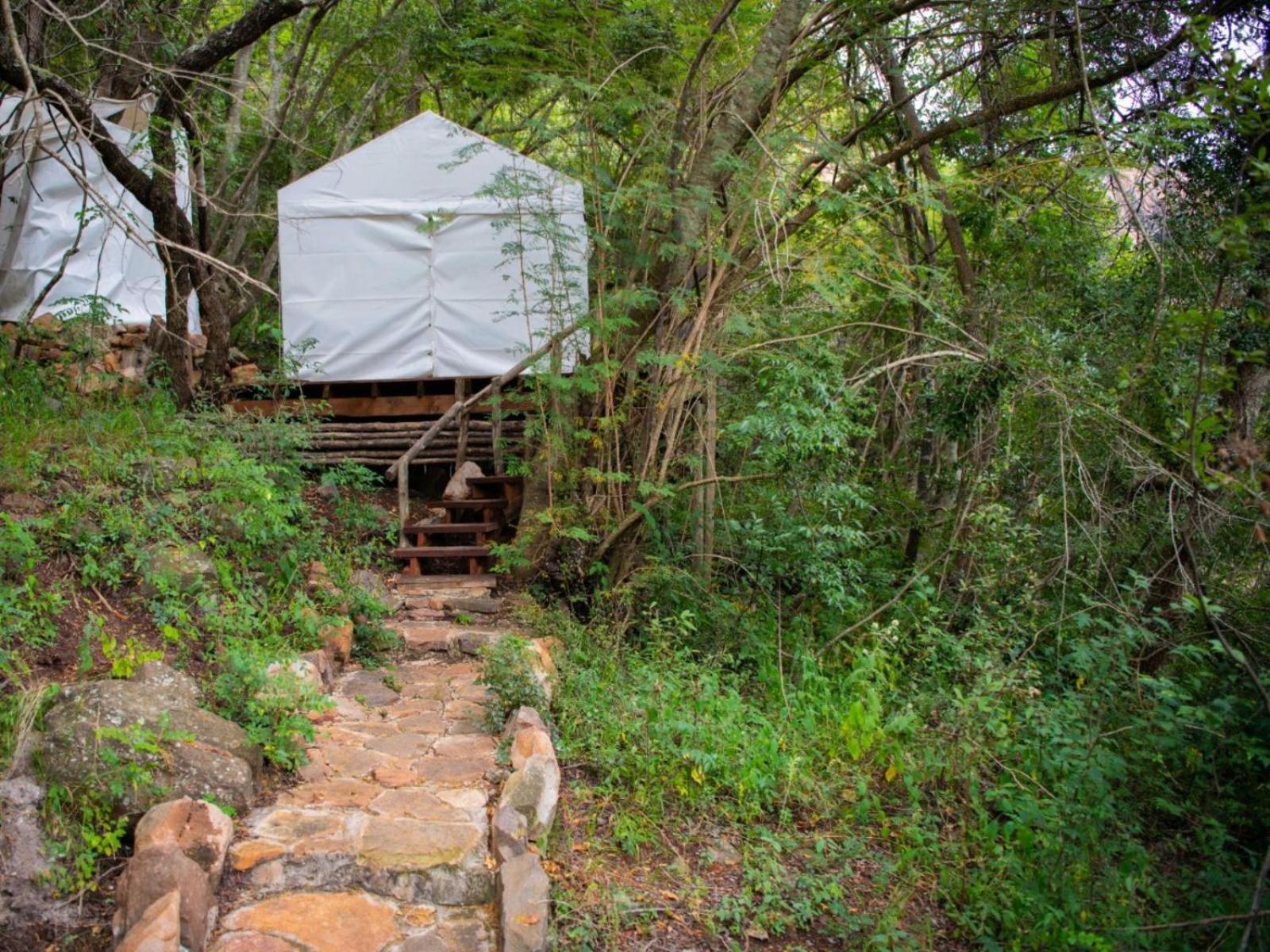 Riverbed Africa Lydenburg Room photo